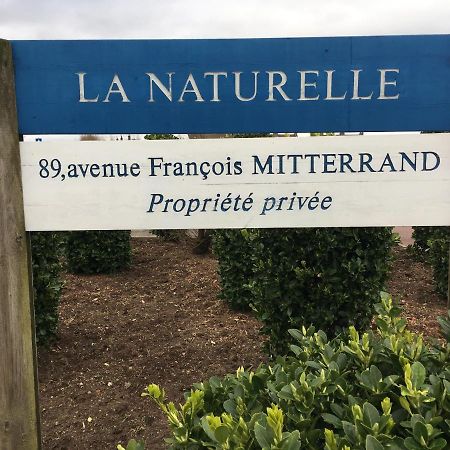 Vue Mer Sur La Cote D'Opale, Studio La Naturelle Pour 4 Personnes , Wimereux Exterior foto